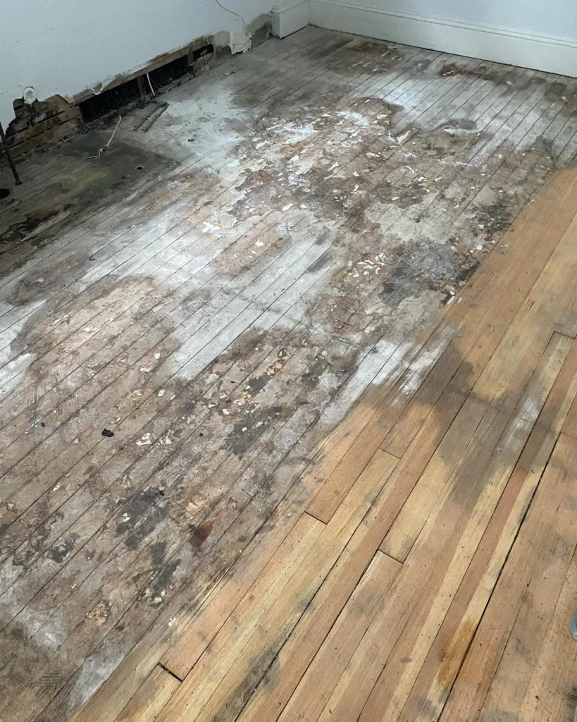 Severe water damage and rot on old wooden planks requiring immediate hardwood floor restoration.